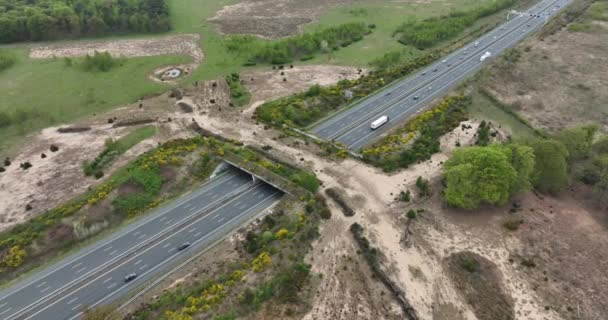 Ecoduct ecopassage or animal bridge crossing over the A12 highway in the Netherlands. Structure connecting forrest ecology landscape over the freeway — Stock videók