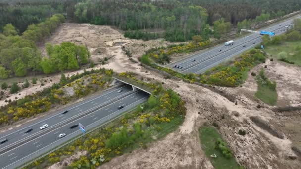 Ecoduct ecopassage or animal bridge crossing over the A12 highway in the Netherlands. Structure connecting forrest ecology landscape over the freeway — Stockvideo