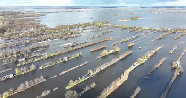 Loosdrechtse plassen canales de la vía navegable del puerto y la naturaleza de zanja cultivada cerca de Vinkeveen Utrecht. Campos de lago y agua pequeñas islas y naturaleza estructurada. Típico holandés holland vista turística. — Vídeo de stock