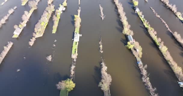 Loosdrechtse Plassen Vízi Csatornák Művelt Árok Természet Közelében Vinkeveen Utrecht — Stock videók