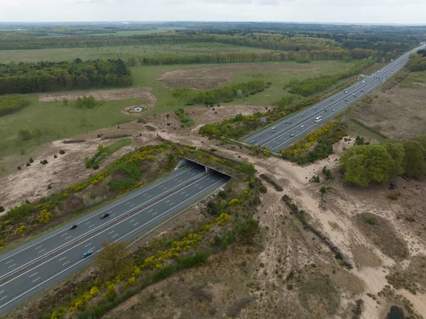 Ekopassage Eller Djurpassage Över Motorvägen A12 Netehrland — Stockfoto