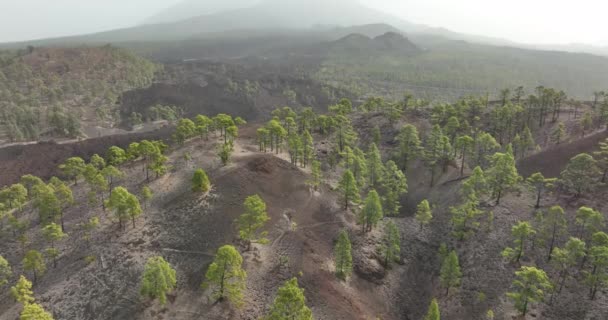 Teneriffa Kanariefåglar Vulkaniska Landskap Teide Nationalpark Flygdrönare Flyger Genom Landskapsvulkanisk — Stockvideo