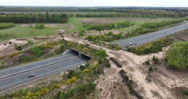 Ecoduct ecopassage or animal crossing over the A12 highway in the Netehrlands.