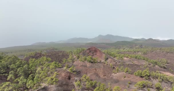 Kanárské Ostrovy Tenerife Sopečná Krajina Národním Parku Teide Letecký Bezpilotní — Stock video