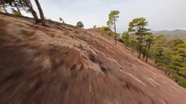 İspanya 'daki taş volkanik manzara tenerife kanarya adası FPV kuadkopter dron Doğa Parkı turistik doğa parkı el Tiede' de uçuyor. Uçan aksiyon kamerası