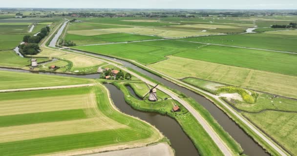 老旧的风车风车航空无人机概览 荷兰历史上典型的杜奇文化和草原景观 — 图库视频影像