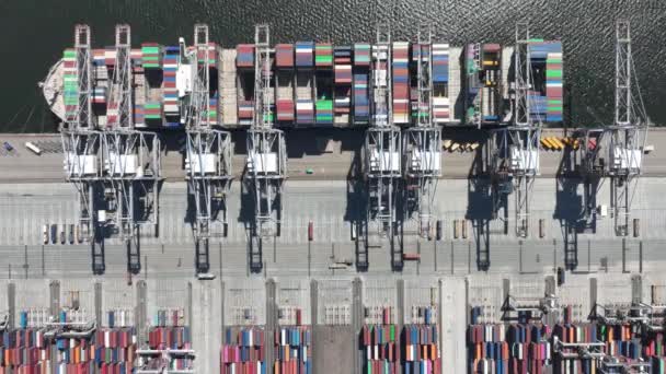 Liman Limanındaki Konteyner Nakliye Terminali Büyük Bir Gemiden Mal Ihraç — Stok video