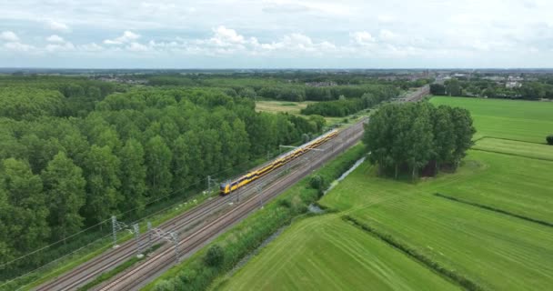 Dutch Moving Commercial Train Nature Forrest Landscape Modern Sustainable Commuting — Stockvideo