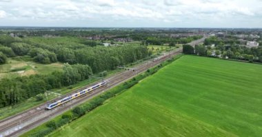 Dutch moving commercial train in nature forrest landscape. Modern sustainable commuting method. Travel transportation passenger infrastructure. Locomotive in green land environement.