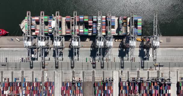 Container Shipping Terminal Port Harbour Import Export Loading Unloading Merchandise — Αρχείο Βίντεο
