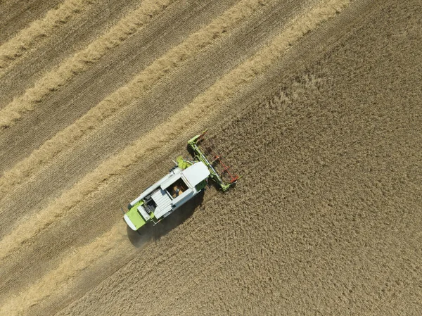 Combine Harvester Agriculture Farm Land Grain Harvest Machinery Golden Colored — 스톡 사진