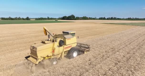 Middelburg 10Th August 2022 Netherlands Slow Motion Combine Harvester Agriculture — Wideo stockowe