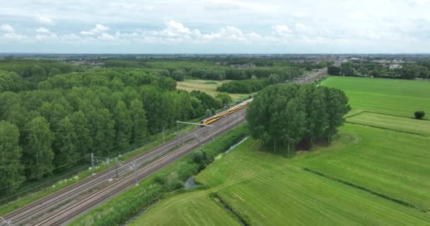 Dutch Train Passing Commuting Traveling Forrest Grassland Nature Landscape Sustainable — Stock video