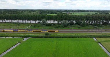 Dutch train passing commuting traveling in forrest grassland nature landscape. Sustainable travel technology by rail road modern railway rialroad transportation.