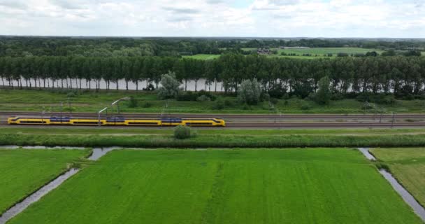 Dutch Train Passing Commuting Traveling Forrest Grassland Nature Landscape Sustainable — Vídeos de Stock