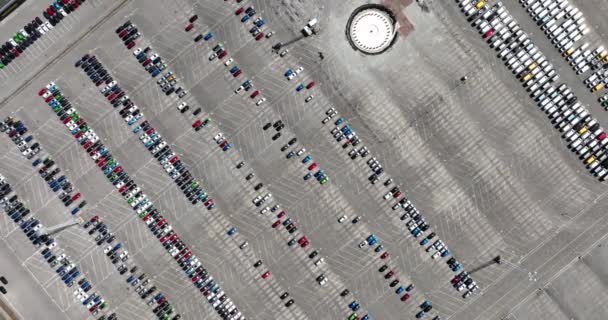 Top Aerial View Import Export Car Automobile Storage Harbour Port — Αρχείο Βίντεο
