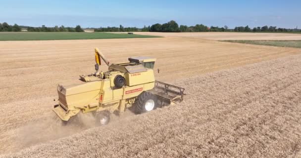 Middelburg 10Th August 2022 Netherlands Slow Motion Combine Harvester Agriculture — 图库视频影像