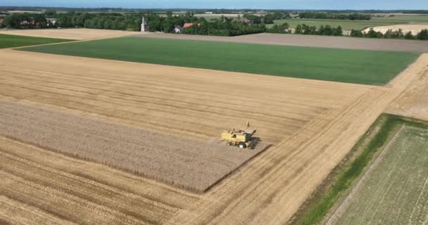 Combine Harvester Agriculture Farm Land Grain Harvest Machinery Golden Colored — Wideo stockowe