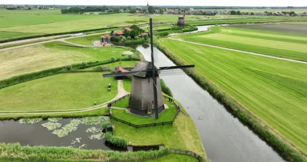 Ιστορικά Παραδοσιακά Παραδοσιακά Ολλανδικά Παλιά Ανεμόμυλους Στην Ύπαιθρο Πράσινο Γρασίδι — Αρχείο Βίντεο
