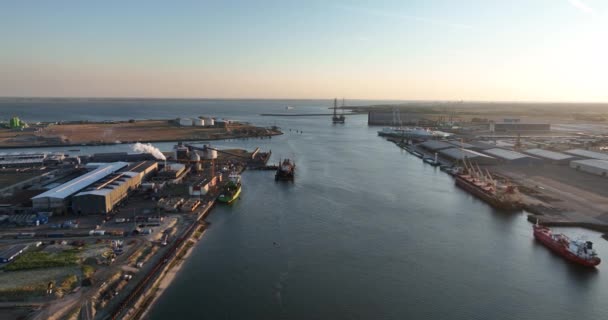 Vlissingen 8Th August 2022 Netherlands Port Vlissingen Industrial Commercial Wharf — ストック動画