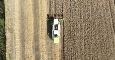 Meteren, 3th of August 2022, The Netherlands. Claas agricultural machinery. combine harvester agriculture farm land grain harvest machinery in action on a golden colored field farming industry.