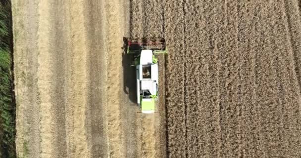 Meteren 3Th August 2022 Netherlands Claas Agricultural Machinery Combine Harvester — Stock video