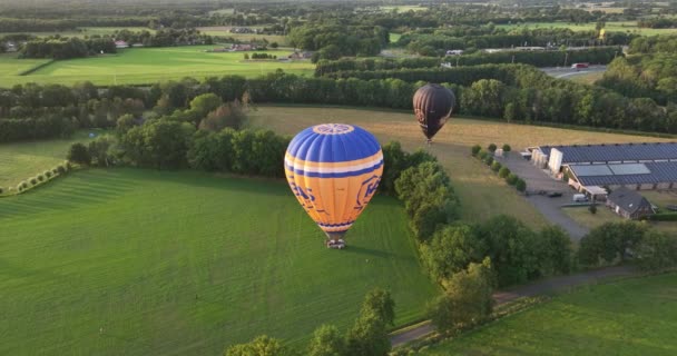Barneveld 3Th August 2022 Netherlands Bas Balloon Rides Balloon Sailing — Stock video