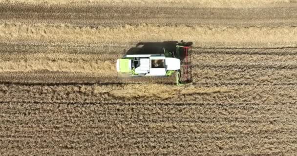 Meteren 3Th August 2022 Netherlands Claas Agricultural Machinery Combine Harvester — Video