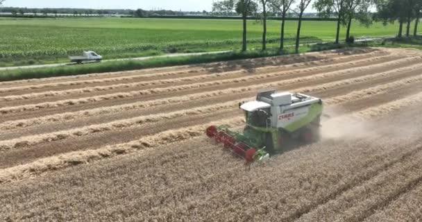 Meteren 3Th August 2022 Netherlands Claas Agricultural Machinery Combine Harvester — Stockvideo