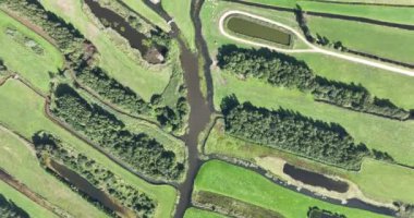 Gevşetici eğlence amaçlı su nehri ve çayır kırsal çimenler yeşil bataklığı güzel desenli küçük nehirler ve doğadaki sularla kaplıyor. Hollanda düz ülke doğası