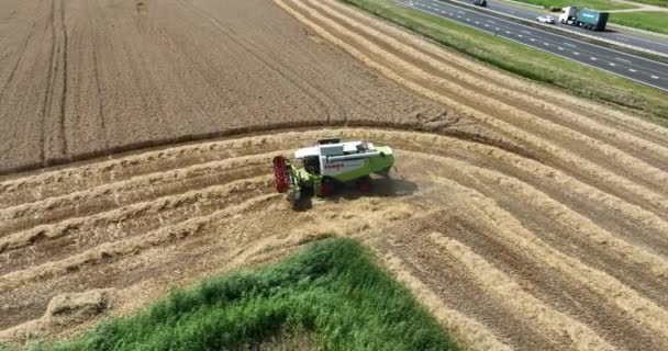 Meteren 3Th August 2022 Netherlands Claas Agricultural Machinery Combine Harvester — Stock Video