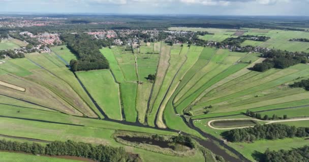 Loosdrecht Água Recreativa Rio Prado Grama Rural Terra Pântano Verde — Vídeo de Stock