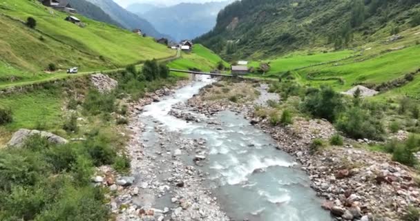 Small Montagna Fiume Roccioso Nel Paesaggio Alpino Campagna Rurale Nella — Video Stock