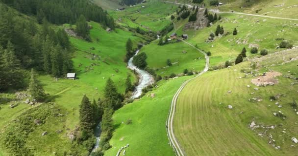 Small Montagna Fiume Roccioso Nel Paesaggio Alpino Campagna Rurale Nella — Video Stock