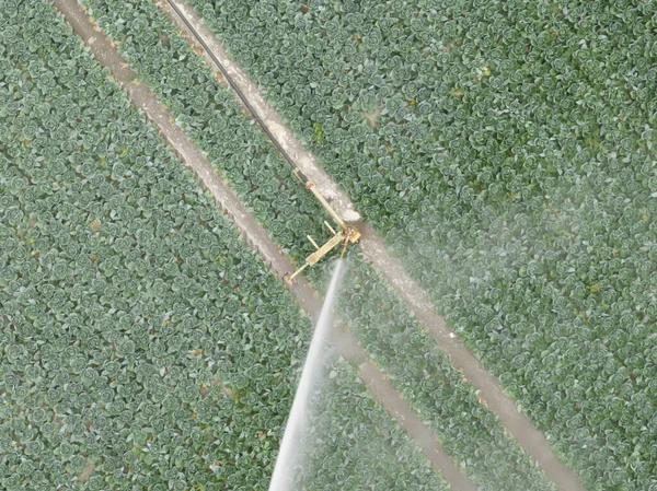 Agriculture Watering Fields Crops Sprinkler Water Installation Overhead Aerial View — Stock Photo, Image