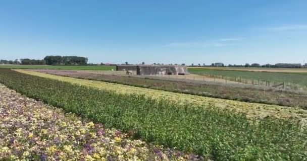 Tweede Wereldoorlog Bunker Bunker Fortificatie Militaire Defensiestructuur Die Een Maatregel — Stockvideo