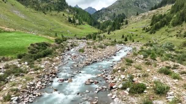 Small Montagna Fiume Roccioso Nel Paesaggio Alpino Campagna Rurale Nella — Video Stock