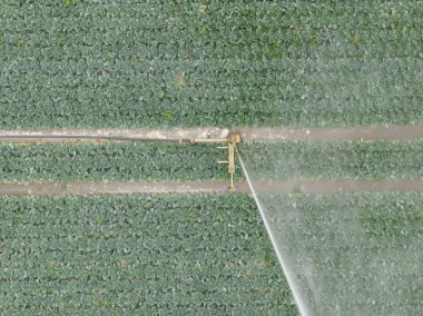Tarlaların sulanması ekinlerin fıskiyeler su tesisatı havadan bakıldığında tarım arazileri kuraklık teknolojisi tarım teknolojisi.
