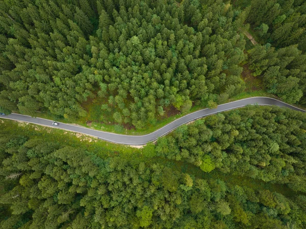 Top down aerial view of a twisty road through a forest trees and green landscape. Asphalt driving transportation road aerial drone overhead view.