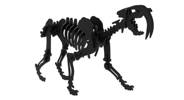 狮身人面像 Smilodon Skeleton 或剑齿虎 Saber Toothed Tiger 的3D渲染 是在更新世末期灭绝的狮身人面像科大型食肉动物的一种 轮廓渲染 — 图库照片