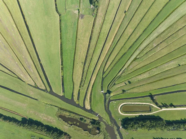 Loosdrecht Recreational Water River Meadow Rural Grass Land Green Marsh — Stock Photo, Image