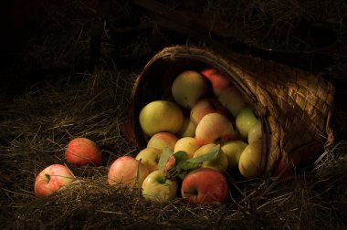 punnet samanların üzerine elmalı
