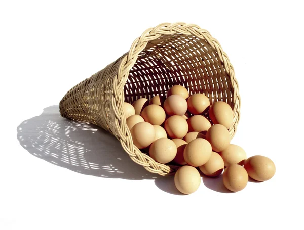 所有的鸡蛋放在一个篮子里 — 图库照片