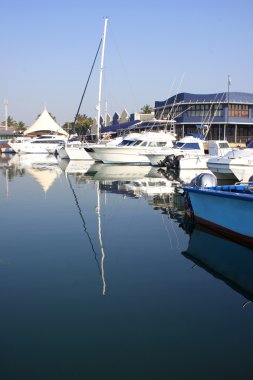 Yat limanında
