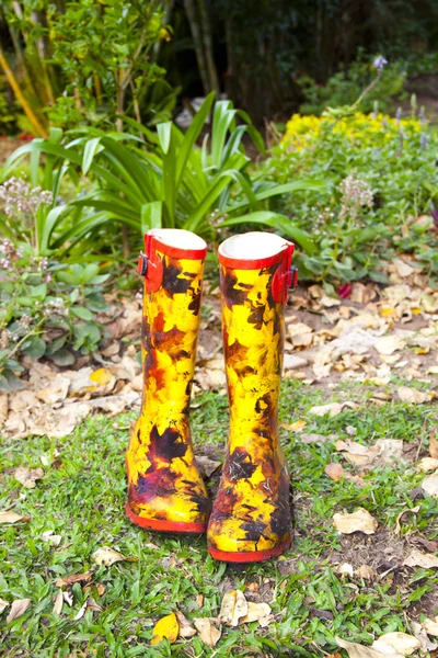 Pair of Rubber Boots — Stock Photo, Image