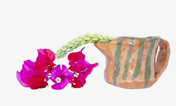 Відображення рожевих квітів з керамічним глечиком — стокове фото