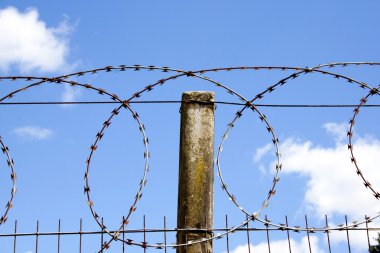 jilet gibi keskin dikenli tel mavi dsky karşı kıvrılmış
