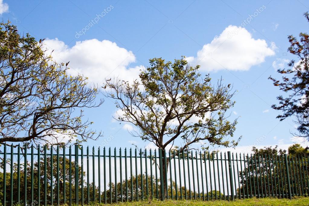 Scenic View Of Green Palisade Fence in Natural Enviorment