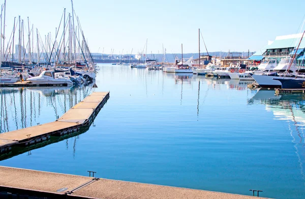 Durban Sydafrika båtar förtöjda på yacht club — Stockfoto