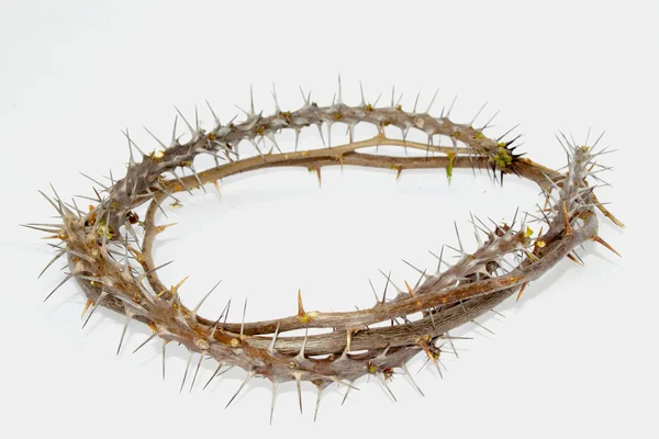 Thorny Branches Woven Into Crown Of Thorns — Stock Photo, Image